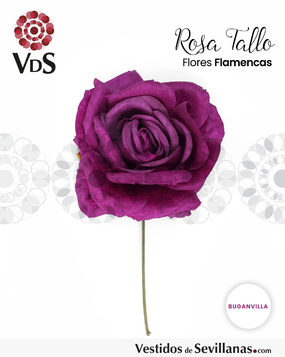 Rosa Tallo  CHELSEA T.M_3col